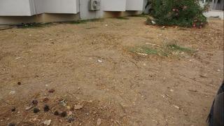 Okul bahçesine gömülmüştü! İskeletinin çıkarılması için kazılar başladı