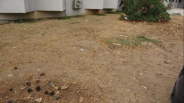 Okul bahçesine gömülmüştü! İskeletinin çıkarılması için kazılar başladı