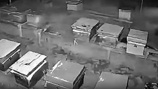 Arıcıların 4 kovan balını yiyen bozayı kamerada!