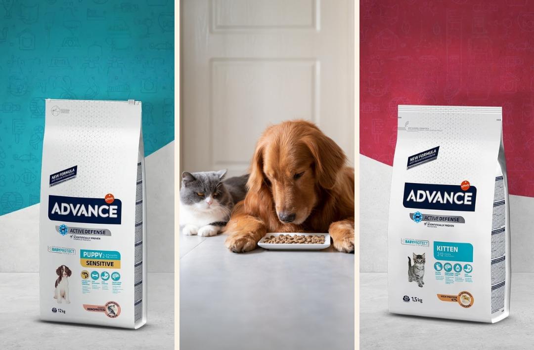 Petzzshop ta Sevgi Dolu İndirimler kampanyası başladı 10