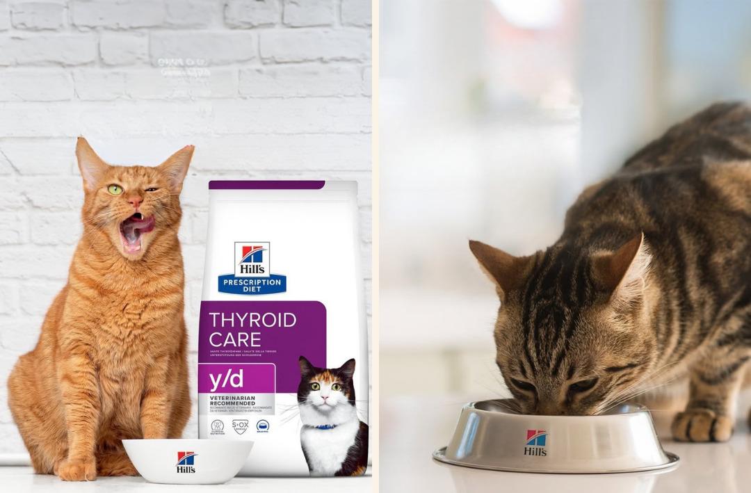 Petzzshop ta Sevgi Dolu İndirimler kampanyası başladı 11