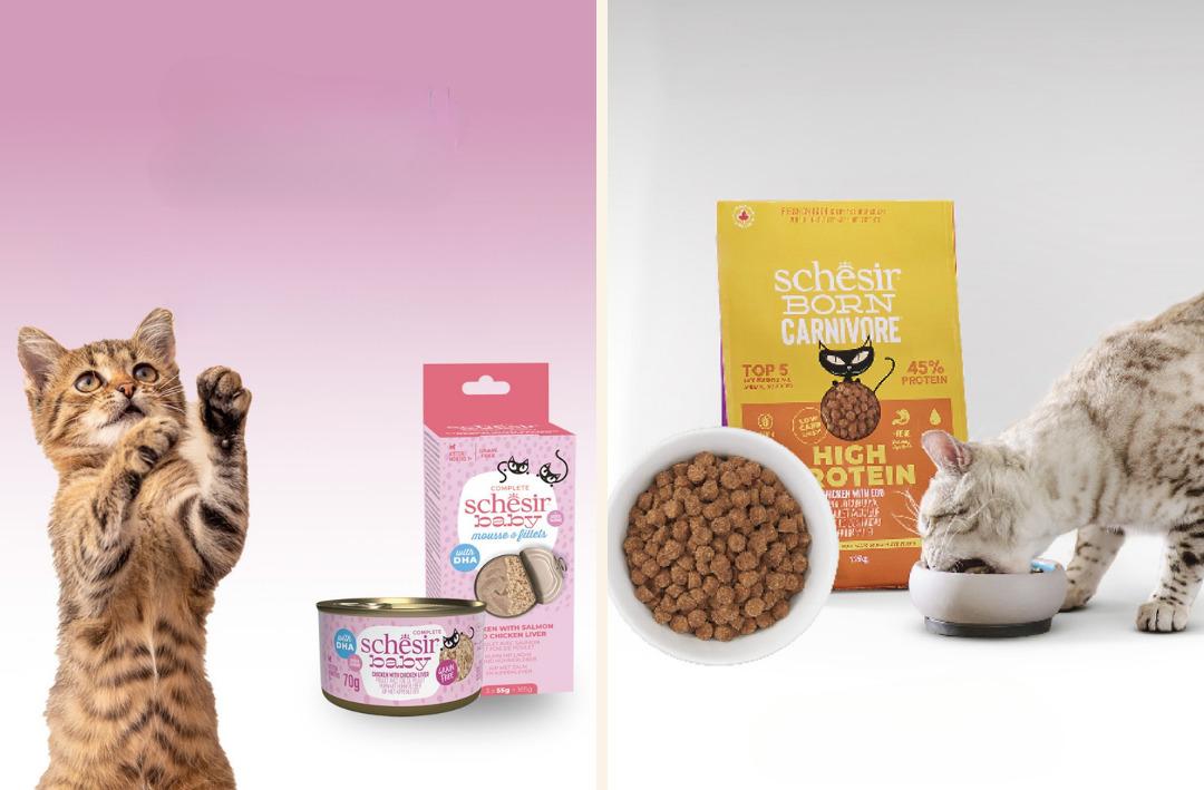 Petzzshop ta Sevgi Dolu İndirimler kampanyası başladı 13