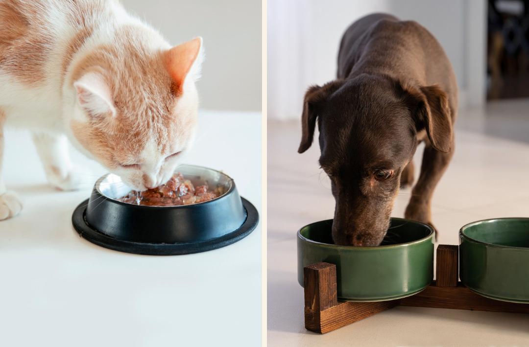 Petzzshop ta Sevgi Dolu İndirimler kampanyası başladı 14