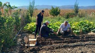Tokat'ta salep üretimi başladı