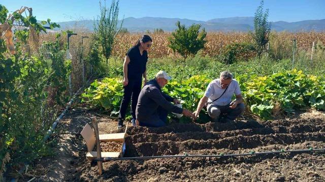 Tokat'ta salep üretimi başladı