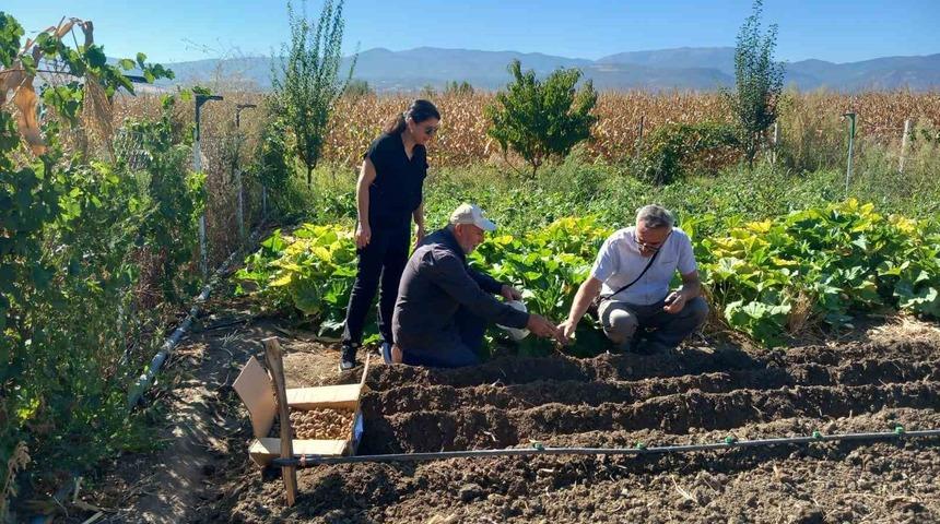 Tokat'ta salep üretimi başladı