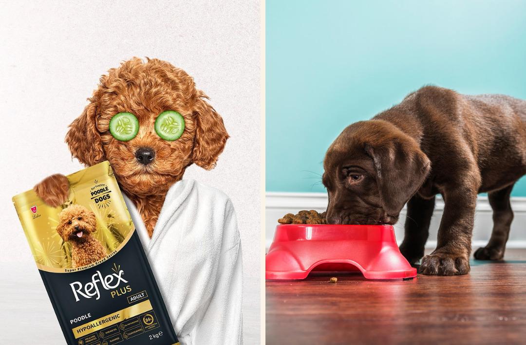 Petzzshop ta Sevgi Dolu İndirimler kampanyası başladı 9