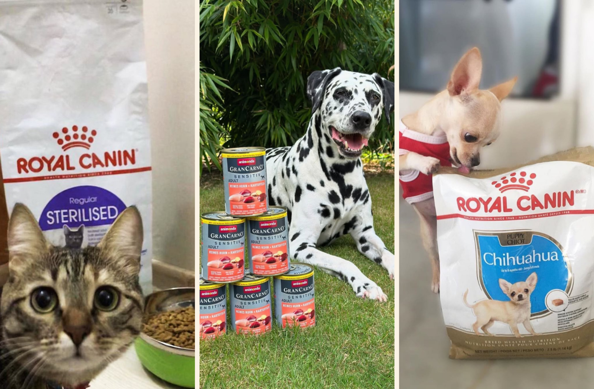 Petzzshop'ta Sevgi Dolu İndirimler kampanyası başladı