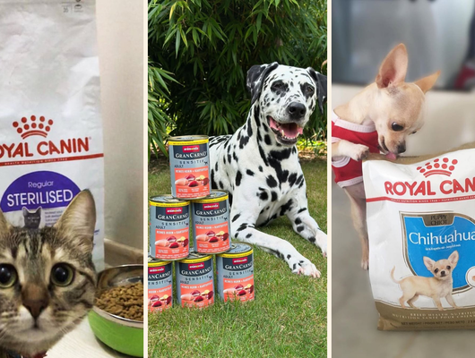 Patili dostlarınızı sevindirecek ürünlerde %50'ye varan indirim