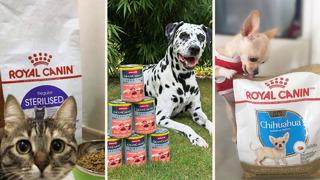 Petzzshop'ta Sevgi Dolu İndirimler kampanyası başladı