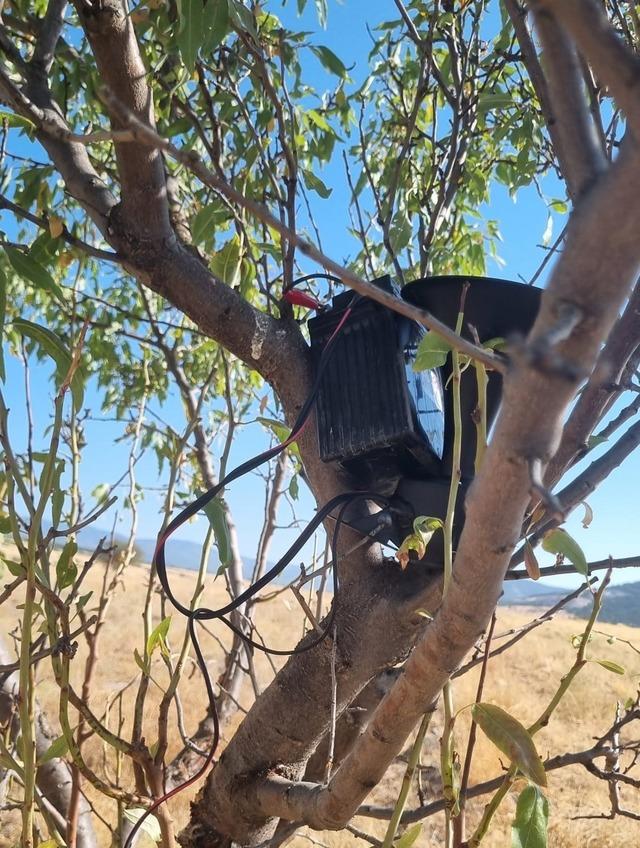 Ses düzeneğiyle bıldırcınları avlayan kaçak avcı fotokapanla yakalandı 1