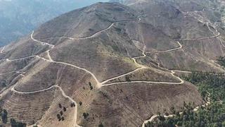 Denizli'de yangınlar sonrası ağaçlandırma çalışmaları