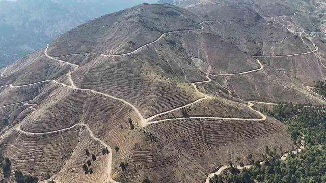 Denizli'de yangınlar sonrası ağaçlandırma çalışmaları