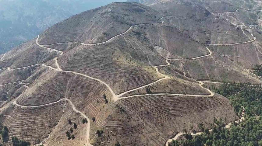 Denizli'de yangınlar sonrası ağaçlandırma çalışmaları