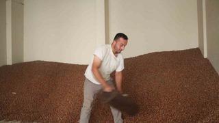 Tüccarlar fındık fiyatı konusunda farklı görüşte