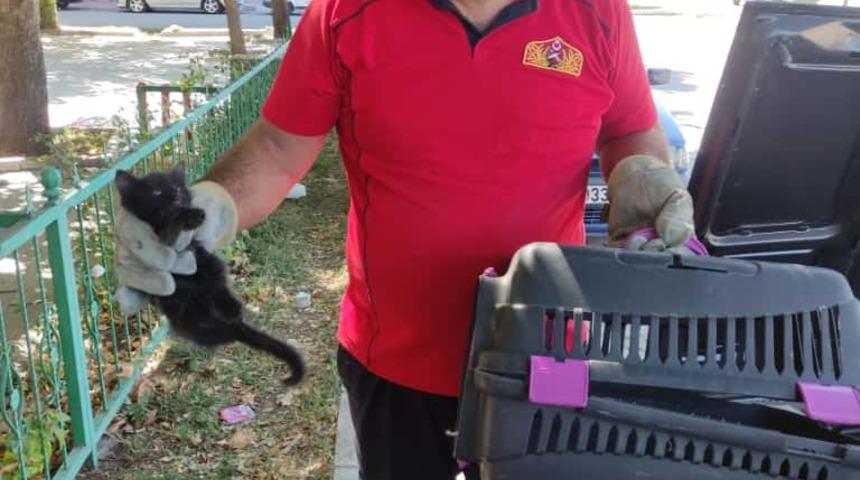 Erzincan'da aracın motor kısmına giren kedi yavrusunu itfaiye kurtardı