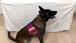 Şanlıurfa’da uyuşturucu madde ele geçirildi