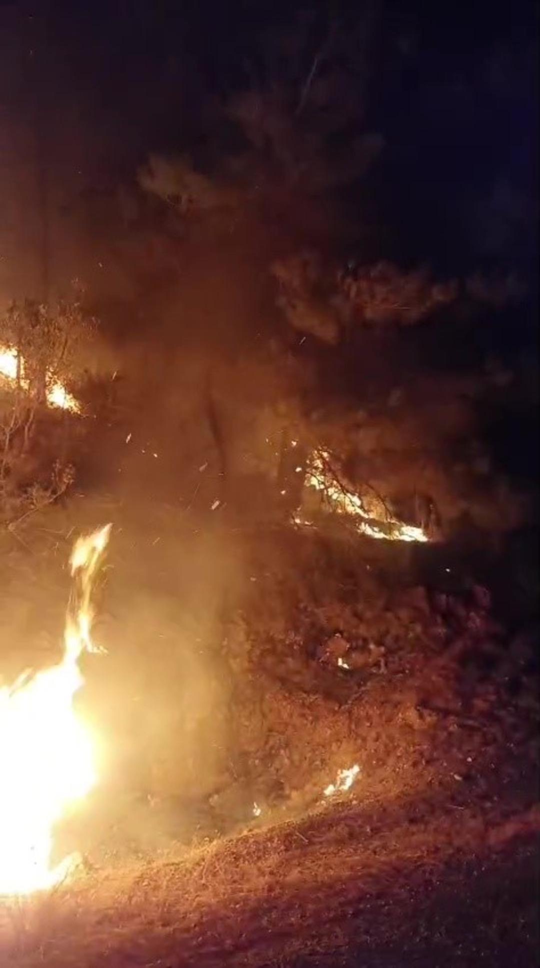 Gazipaşa da ormanlık alanda yangın 1