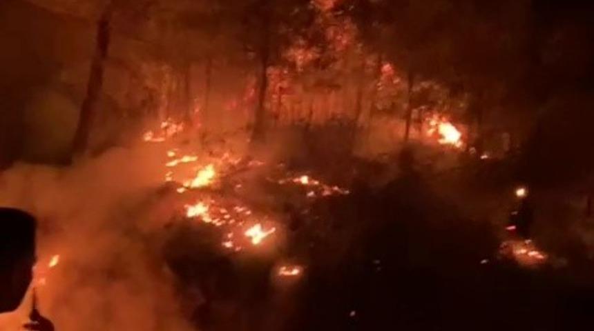 Gazipaşa'da ormanlık alanda yangın