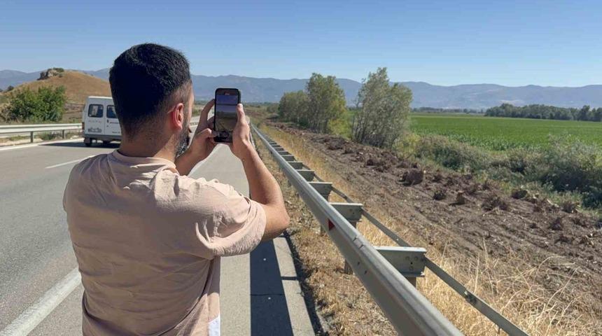 İlçenin simgesi olmuştu, ağaç koridorundan geriye kökleri kaldı