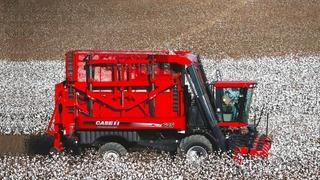 Söke’de makinalı pamuk hasat ücreti belirlendi