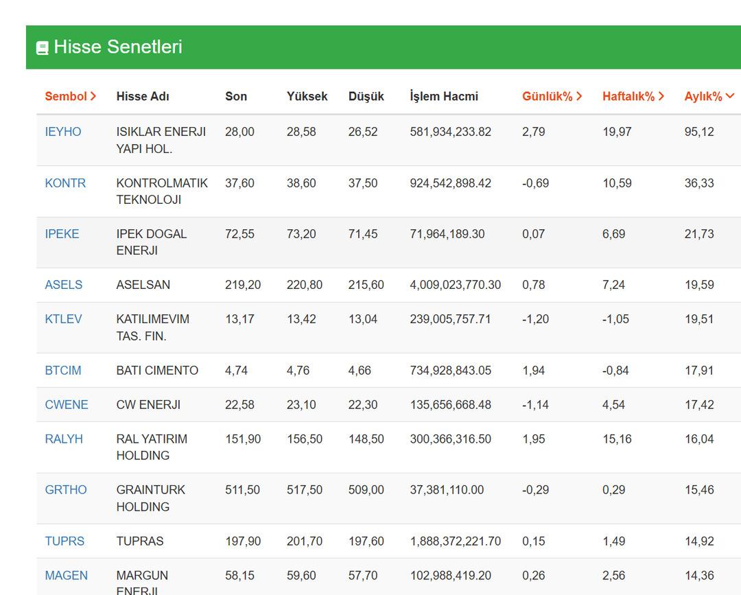 Ne dolar ne altın: Bu hisseler yatırımcısına servet kazandırdı! İşte bir ayda yüzde 95 getiri sağlayan hisse 1