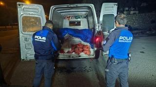 Samsun'da kaçak avlanan 5 ton midye ele geçirildi