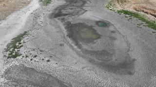 Edirne'de Habiller köyündeki 5 göletten 4'ü kuraklığa bağlı kurudu