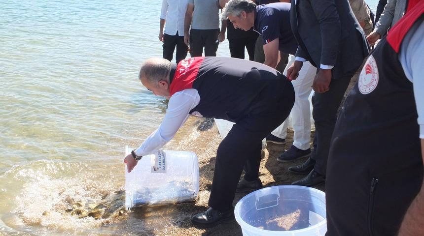 Elazığ'da Keban Baraj Gölü'ne 10 bin sazan yavrusu bırakıldı