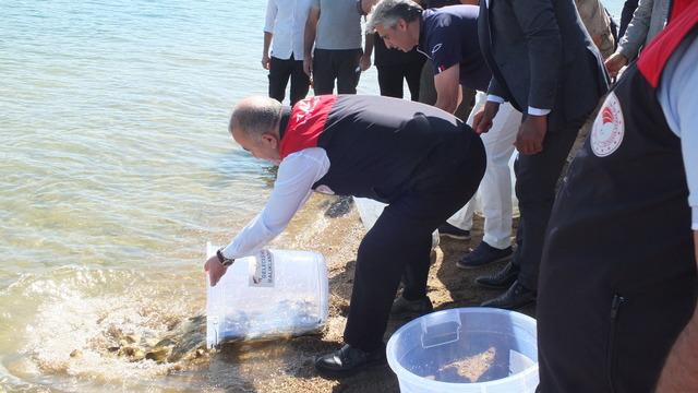 Elazığ'da Keban Baraj Gölü'ne 10 bin sazan yavrusu bırakıldı