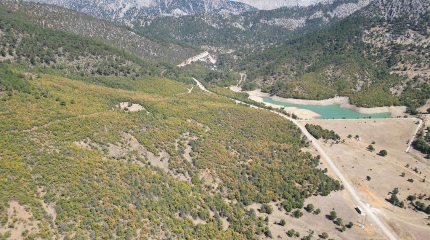 Isparta'da ormanlar son bahar renklerine büründü