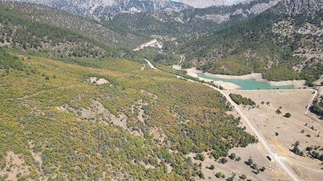Isparta'da ormanlar son bahar renklerine büründü