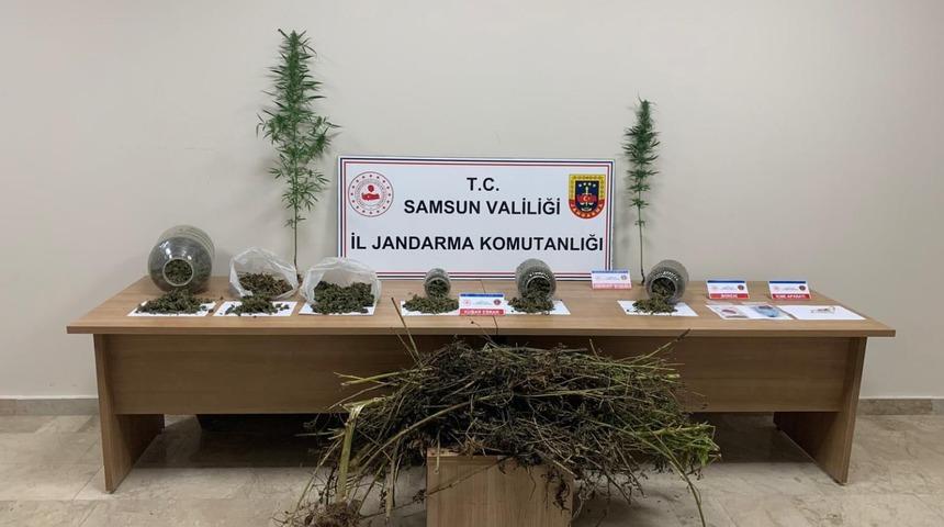 Samsun'da uyuşturucu operasyonunda 1 şüpheli yakalandı