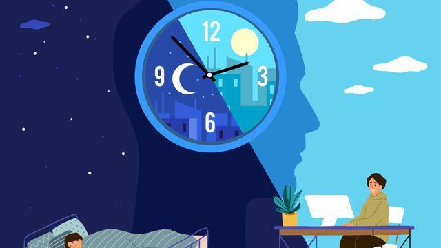 Sirkadiyen ritim bozukluğu nedir? Sirkadiyen ritim bozuklukları
