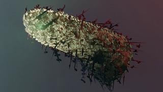 Kuduz uyarısı: Beyin hasarına yol açarak ölüme götürür Kuduzdan korunmada en kritik adım nedir? 