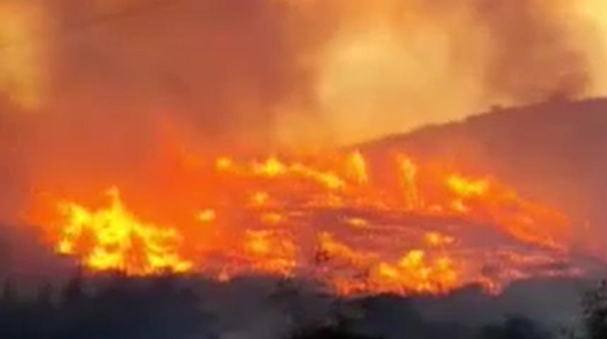 Bursa'da orman yangını: Rüzgarın etkisiyle büyüdü