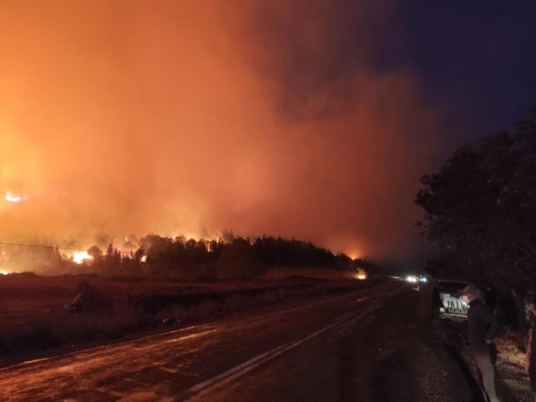 Bursa da orman yangını: Rüzgarın etkisiyle büyüdü 1