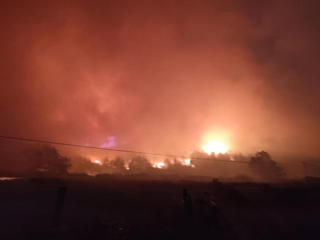 Bursa da orman yangını: Rüzgarın etkisiyle büyüdü 2