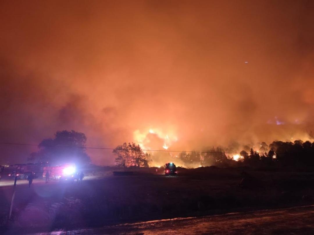 Bursa da orman yangını: Rüzgarın etkisiyle büyüdü 3