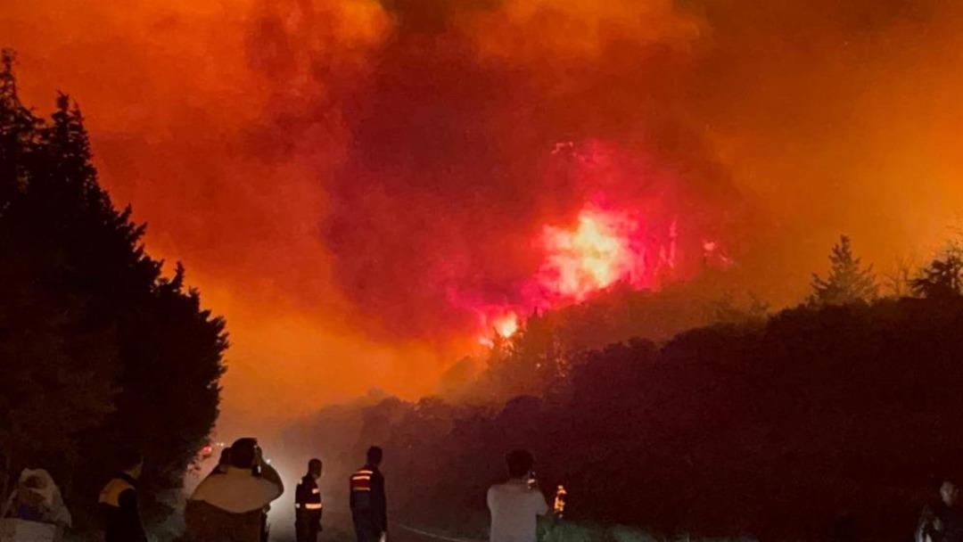 Bursa’daki orman yangını kontrol altına alındı 1