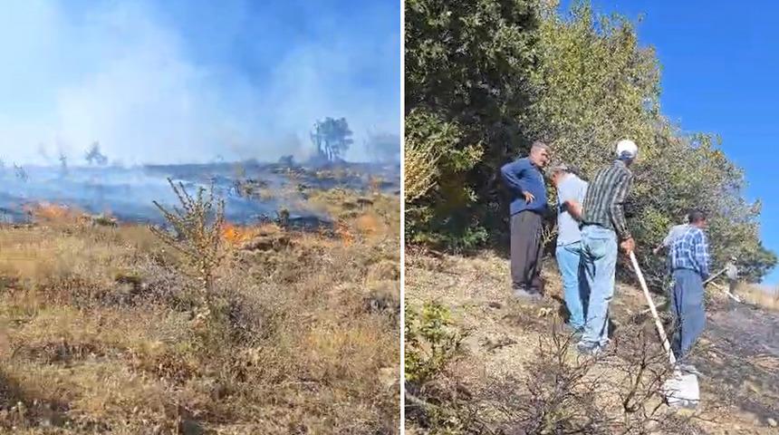 Sincik ilçesinde korkutan orman yangını!