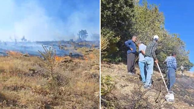 Sincik ilçesinde korkutan orman yangını!
