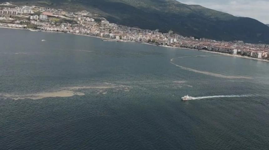 Yer: Bursa! Yüzlercesi ölüp karaya vurdu! Nedeni bakın ne çıktı