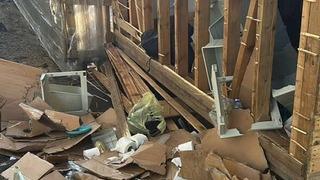 Uludağ'da ayılar barakalara girdi, ortalık darmadağın oldu