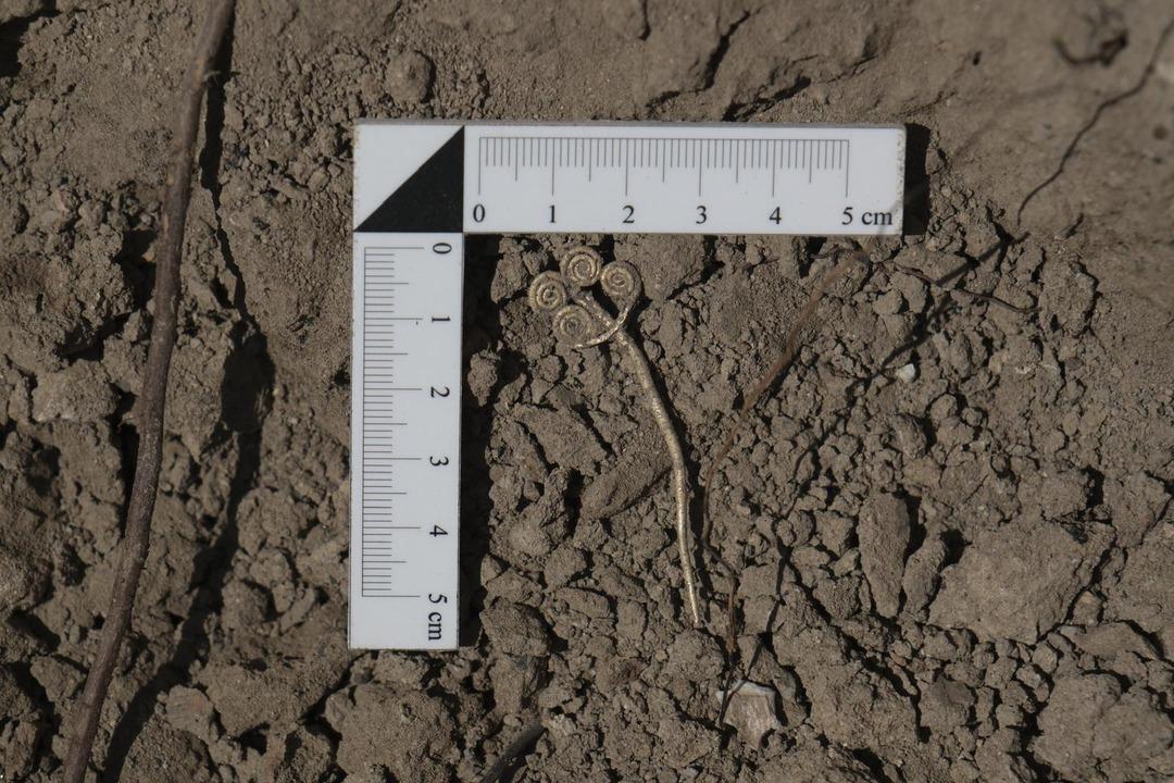 Dünyada yalnızca 3 örneği var! Çanakkale de bulundu: Son derece ender ve 4500 yıllık 2