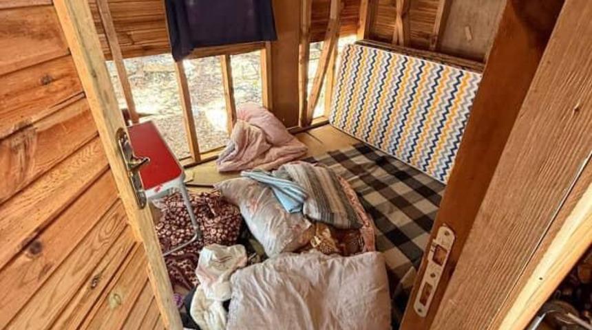 Uludağ'da barakaya giren ayı eşyaları parçaladı