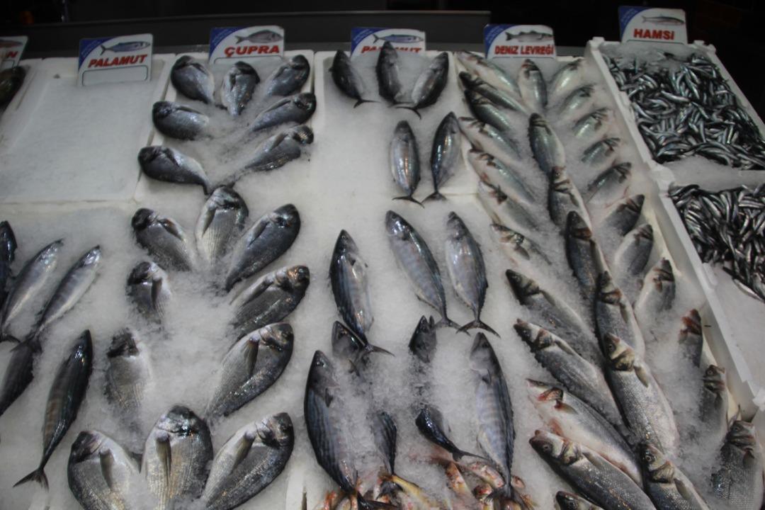Hamsinin kilosu kaç? Tezgahların yeni gözdesi: Hamsi Balık tezgahlarında güncel fiyatlar nedir? 2