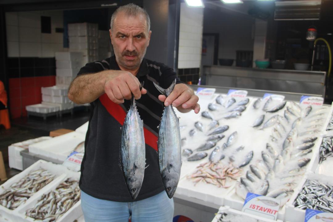 Hamsinin kilosu kaç? Tezgahların yeni gözdesi: Hamsi Balık tezgahlarında güncel fiyatlar nedir? 3