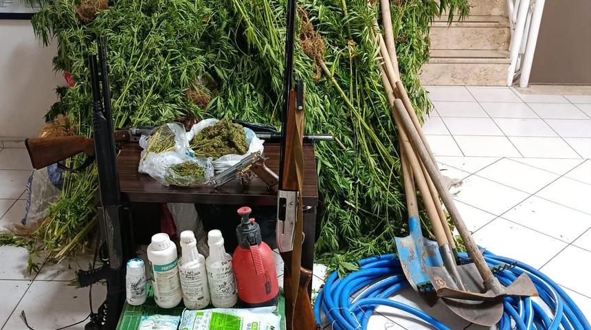 İzmir'de ormanlık alanda Hint keneviri yetiştiren şüpheli tutuklandı