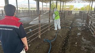 Iğdır’da açılan hayvan pazarı 2 hafta sonra tekrar kapatıldı